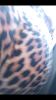 I Was a Cheetah Girl Today. I Had a Good Route in the Burbs and Was Cool with My Cheeta Print