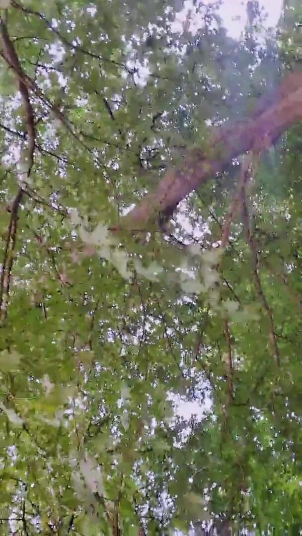 Slutboyben: Slutboyben Cam4 Gagică sexy în croazieră V Voyeur în aer liber