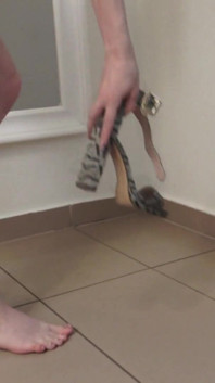 Shoe Shine Slave of Brat Princesses