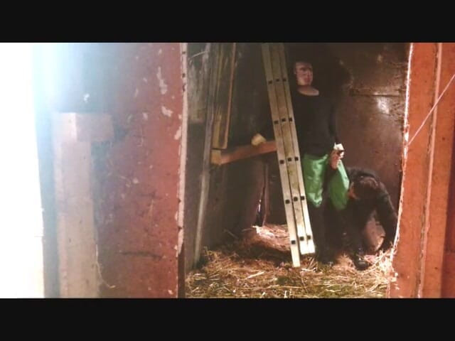 henry029: Filmen sie reiterin