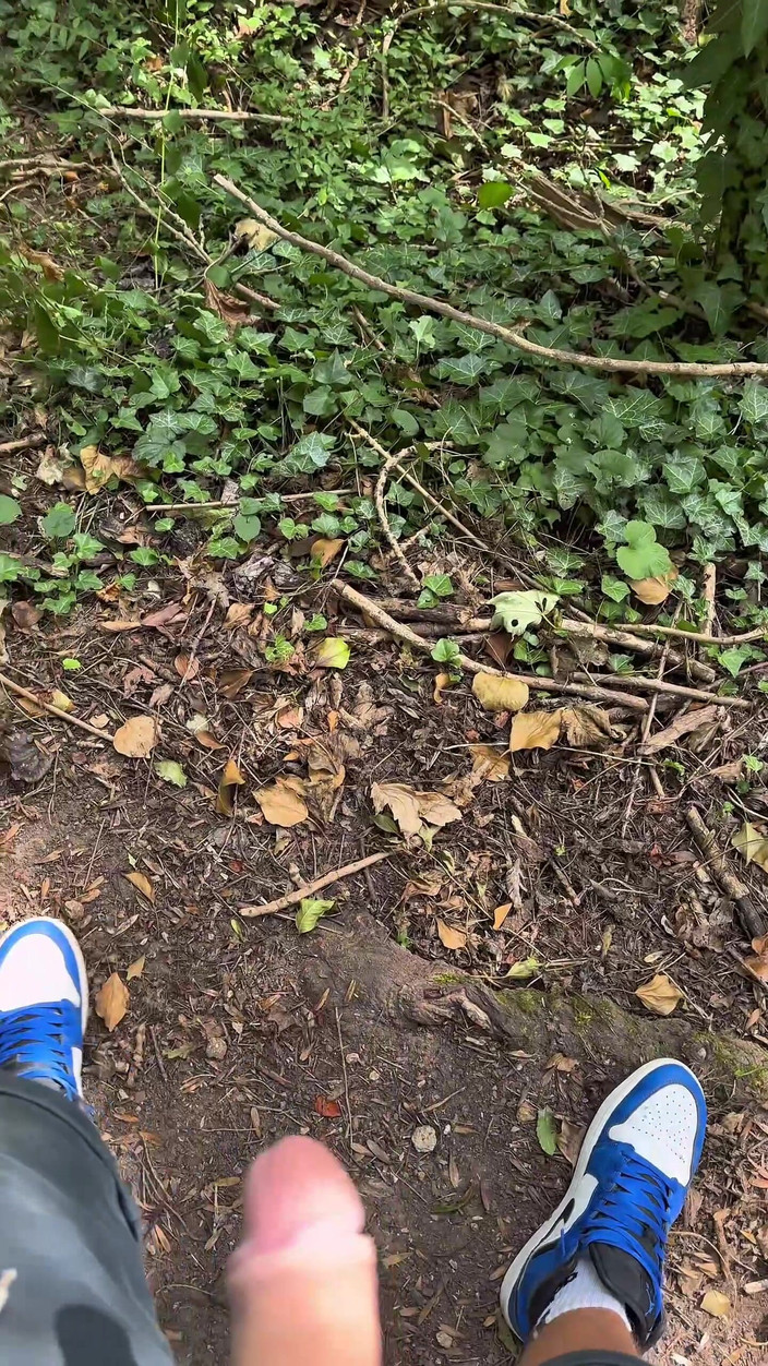 mekcho92000: Walk in the Woods
