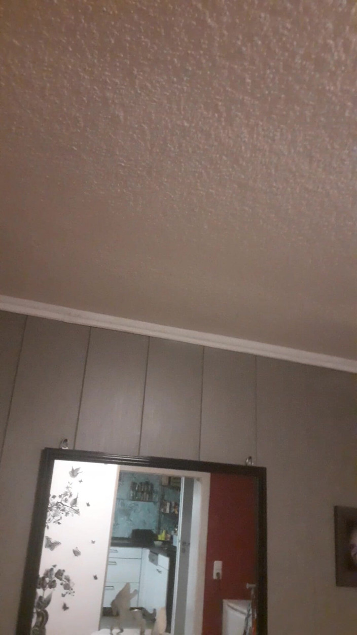 tammara big: Wat heb ik gedaan