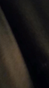 Polla.