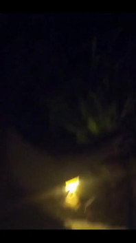 Ficken draußen in der nacht