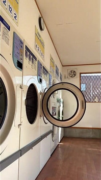 Trainer's Command No. 63: Laundromat Exposure - Round 2
