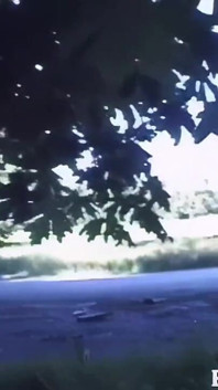 Extra Hairy 90s Natural Babe Shows off