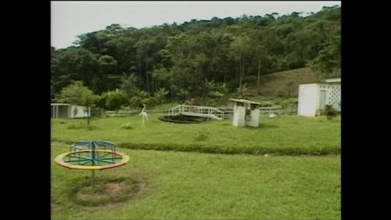 Shemale World: A Hot Shemale Fucked Hard in the Ass