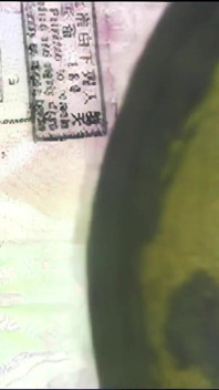 빈티지 애널을 사랑하는 십대 모음집, ATM, 딜도와 애널 핥기