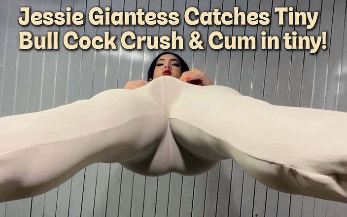 JessieRoss: Jessie Giantess Menangkap Tiny. Bull Cock Crush &amp; Cum