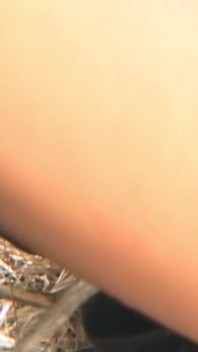 Luna: Latin Whore Making Piss