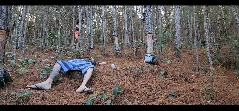 Bruxofire: Byl to sen? Kompletní v Čir