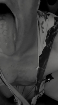 Markbcnxxx Doggy Skutty Bitch