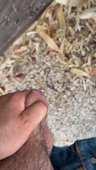 Peeing in the Garden