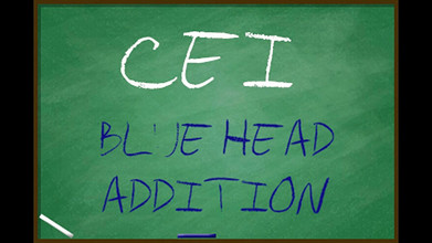 Campsissyboi: ENDAST LJUD - CEI blue head addition