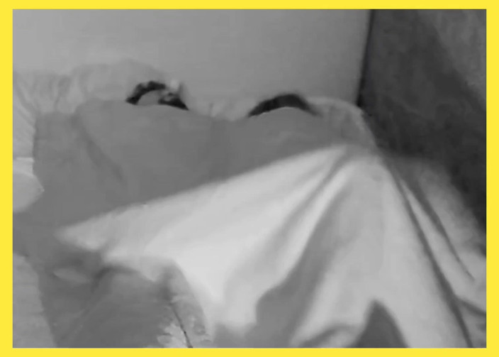 puchis: Real Homemade Anal Sex with Big Ass Woman