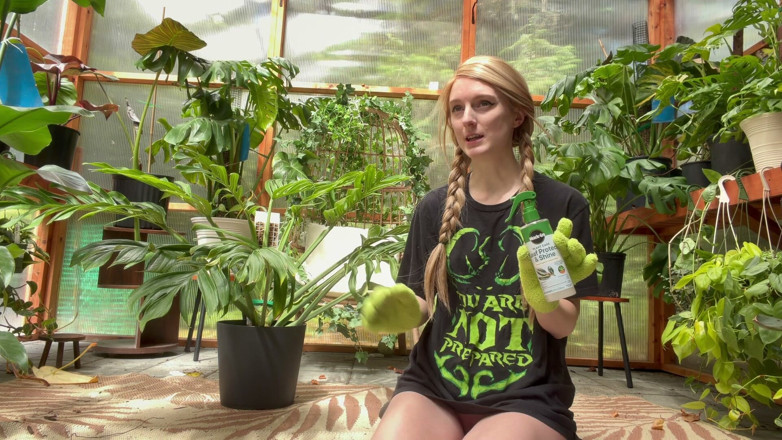 Destination Kat: Planten voorbereiden
