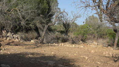 Deutsche Omas: Cadela recebe buceta fodida por trás enquanto chupa outro pau...