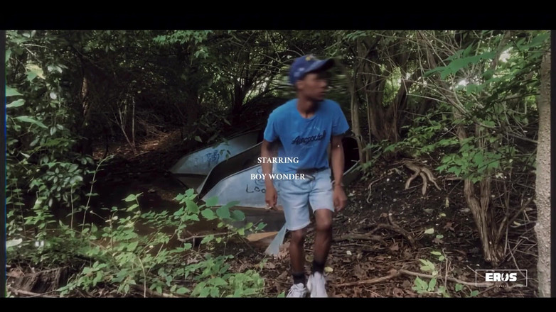 Boy Wonder: 3987809160.mp4