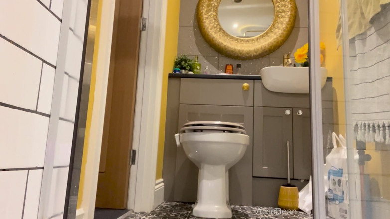 Alice Bean: Air Bnb Toiletten peeker