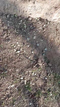 Dívka masírována Sunny Leone