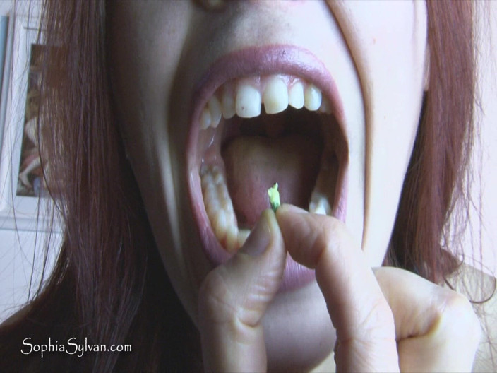 SophiaSylvan: The Tomboy Giantess