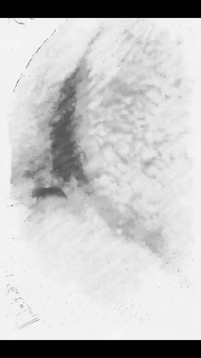 i7Bernard: इंस्टाग्राम I7bernard में बनाया गया