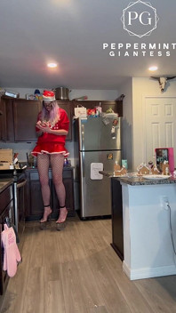 73 Giantess em saltos de 8 polegadas decora uma vila de gengibre