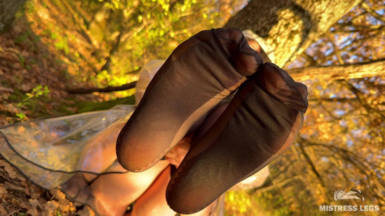 Mistress Legs: フェティシストの罠:黒いストッキングを履いた森の妖精が秋の森で足でからかう(mp4 HD)足のフェチ