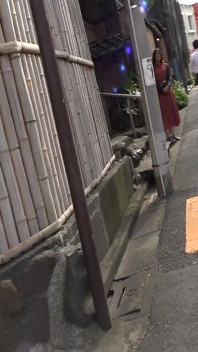 25 let, Mayu jako