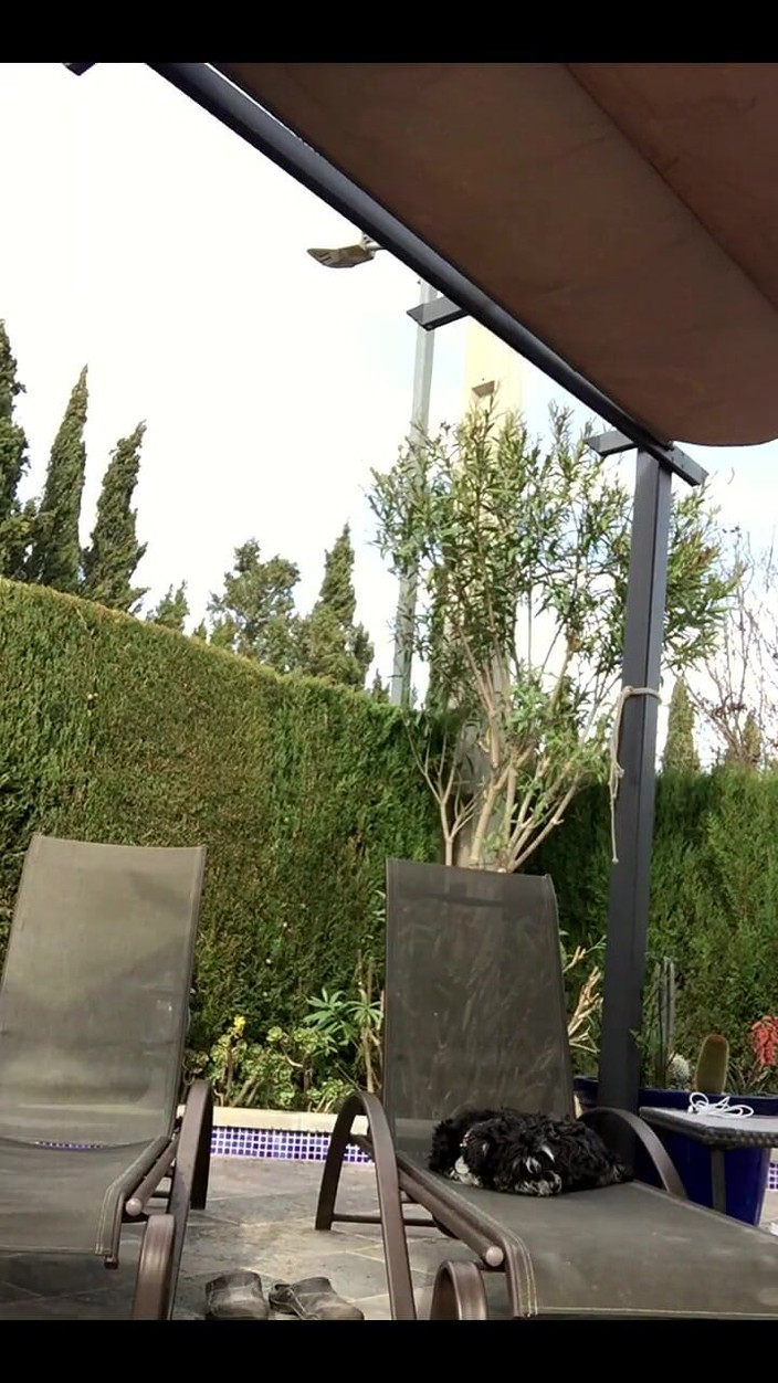 Daddybearvlc: ストリームは2024年2月15日 午後1時58分に開始