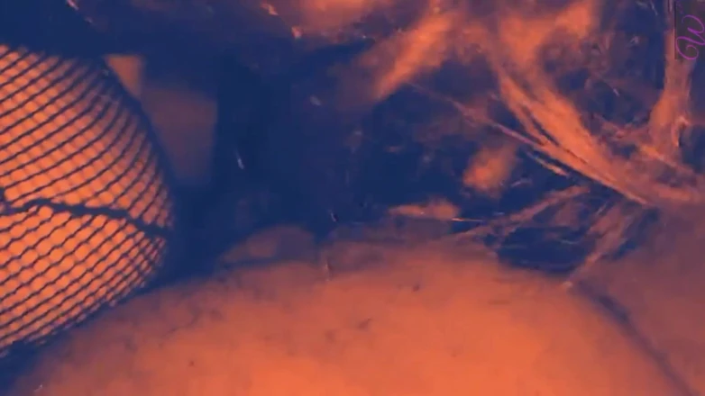 Whos nxt production: 私のBBCで白人の小柄なフェムボーイの隣人を破壊する