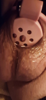 Wet Tiny Clitty Locked in Chasity Cage