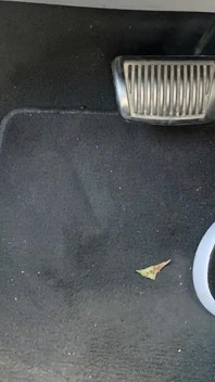 Pedaal pompen in tennisschoenen door Ivys Voeten