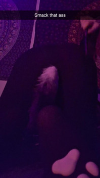 Smack That Ass