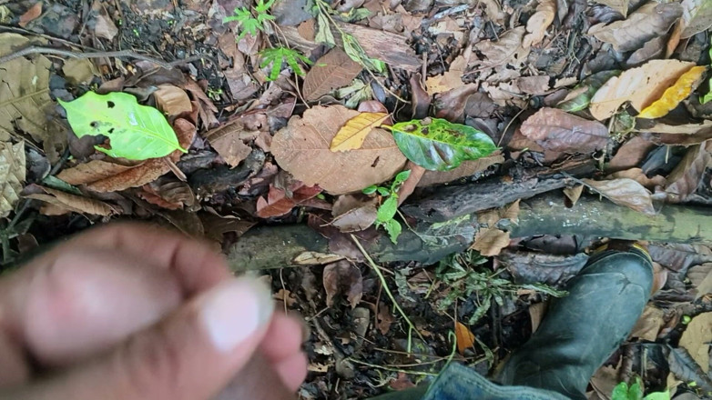 Josueacuna: Domácí video porno video