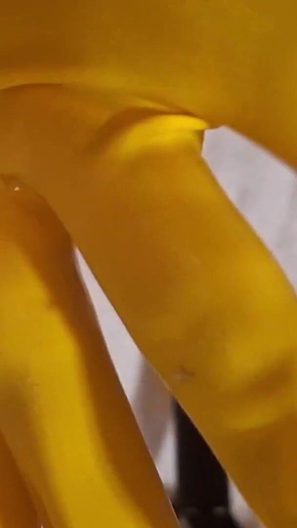 Dream Ofevolutionvip.de Latex Gloves (Dream of evolution Vip)