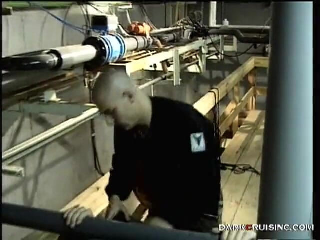 Cazzofilm: Skinhead varkens