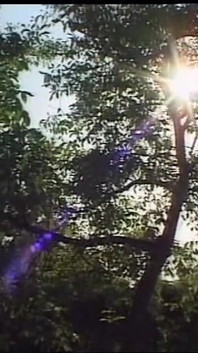 Homemade Sex of MILF Ass Fucked and Cumshot in Asshole by Huge Cock