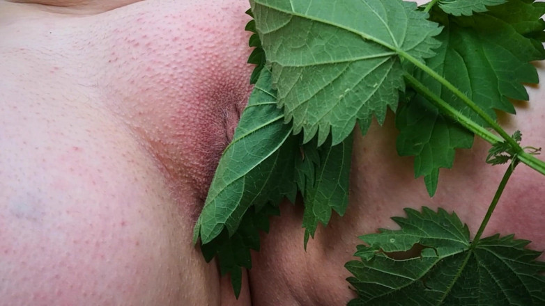 Bouncy Tits Action: Nettles, pussy, common place