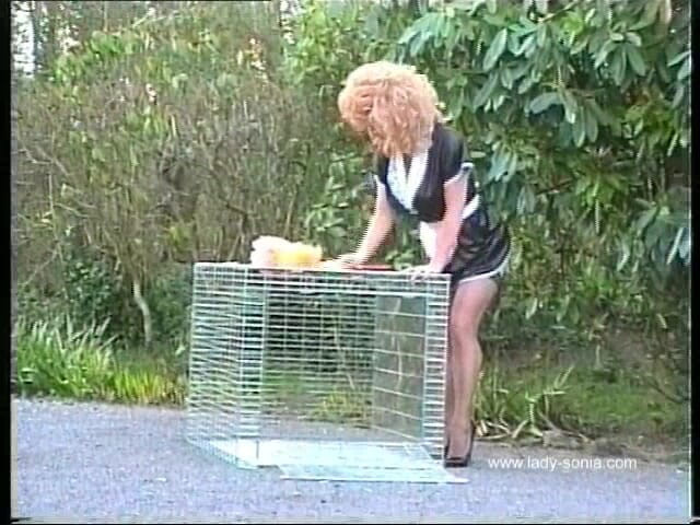 Lady Sonia: Black Nylons up the Skirt