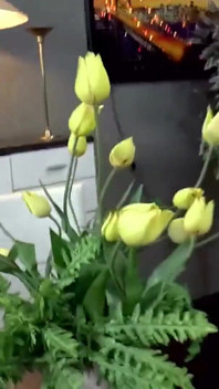 La calda ragazza rossa prende due enormi cazzi in bocca e figa arrapata