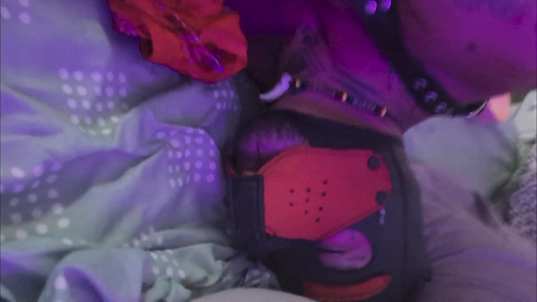 DaveFistFox: Cachorrito Atado Y Usado