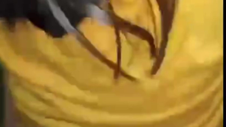 Amazingbeautycum: Curang Terbaik Pada Teman Wanita Dengan Adik tirinya Panas