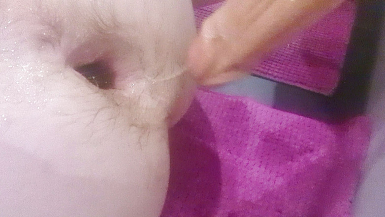 Bigdildo-Boy69: Bol delikli ıslak büyük dildo anal