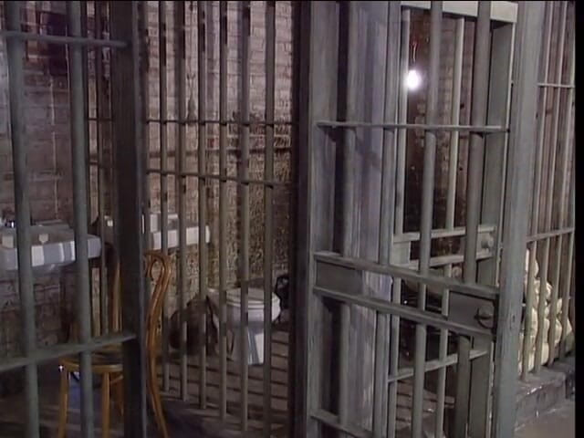 Prison Break: 감옥에서 따먹히는 하이힐을 신은 거유 금발