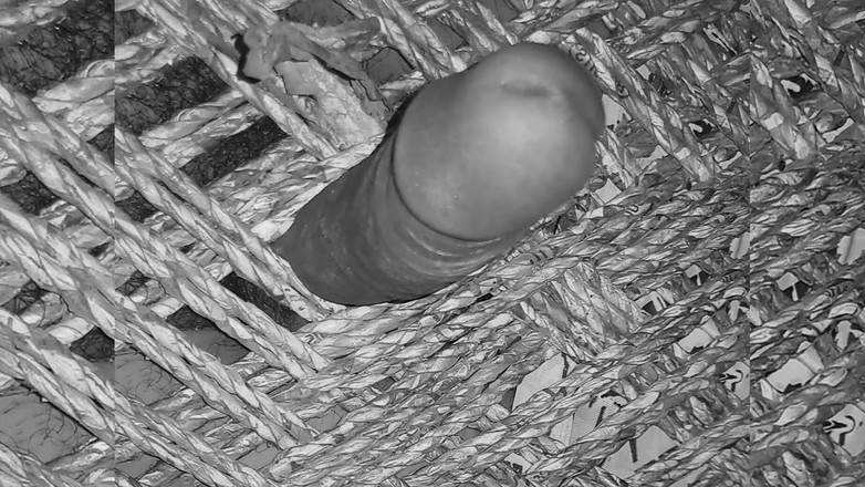 Desi_Porn_India: Молодой индийский паренек показывает свой твердый хуй.