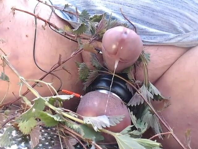 Gaylectrician: Diversão com urtigas