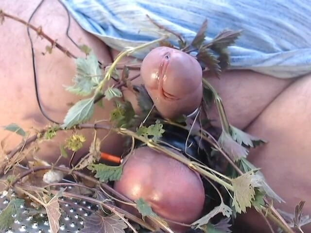 Gaylectrician: Seronok dengan nettles