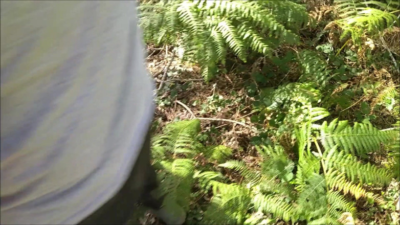 K Vw: Ungeplant im wald