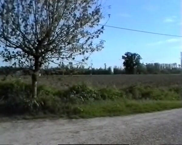 GERMAN PORN CLASSICS: Fucking Outdoors